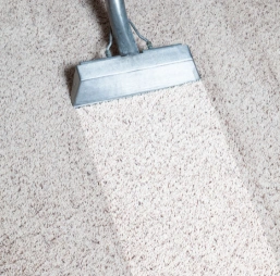 Before Cleaning